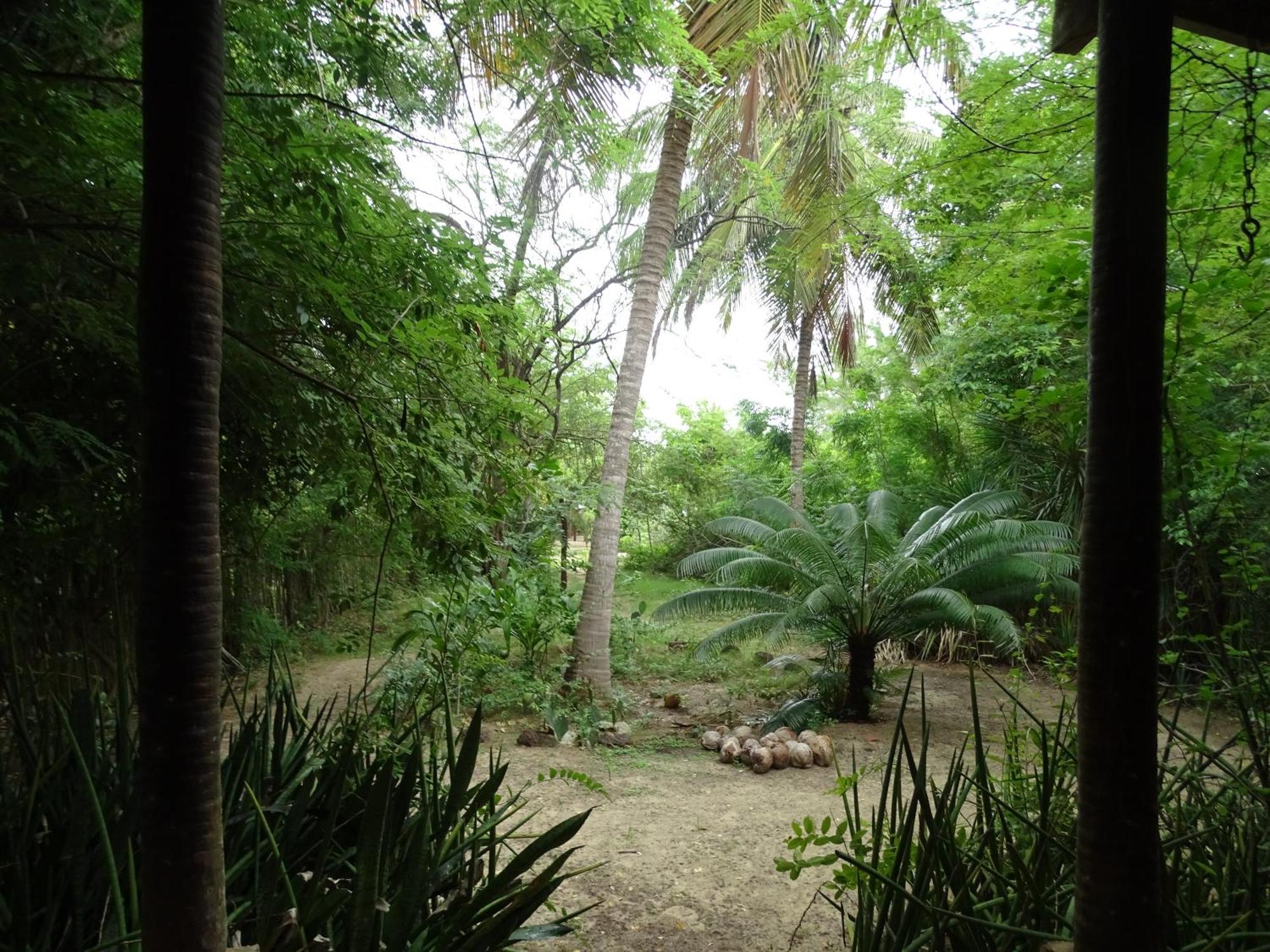 Hotel Jungle House à São Miguel do Gostoso Extérieur photo